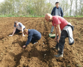 agricoltura 1