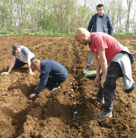 agricoltura 1
