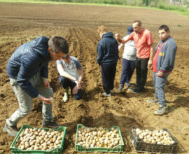 agricoltura 2