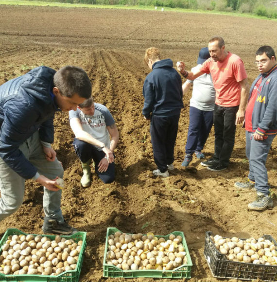 agricoltura 2