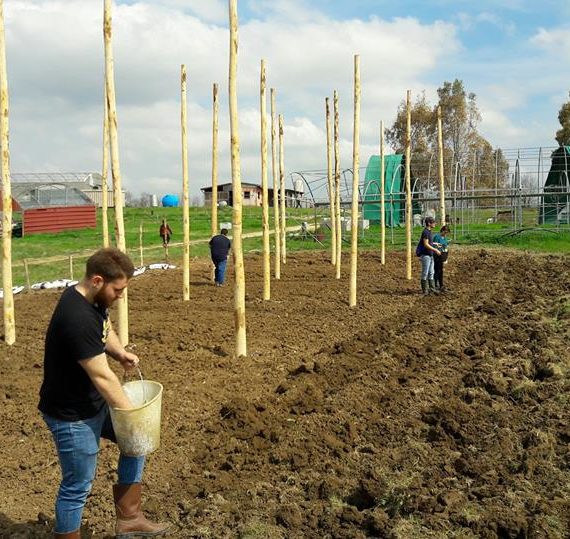 area agricola