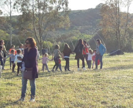 festa 3