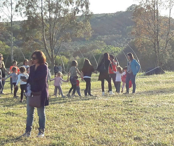 festa 3