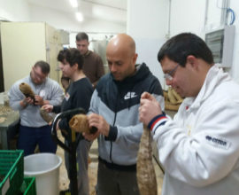 laboratorio