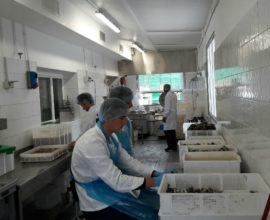 laboratorio 3