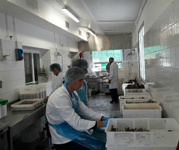 laboratorio 3